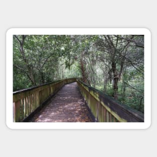 Hiking Florida Marsh Sticker